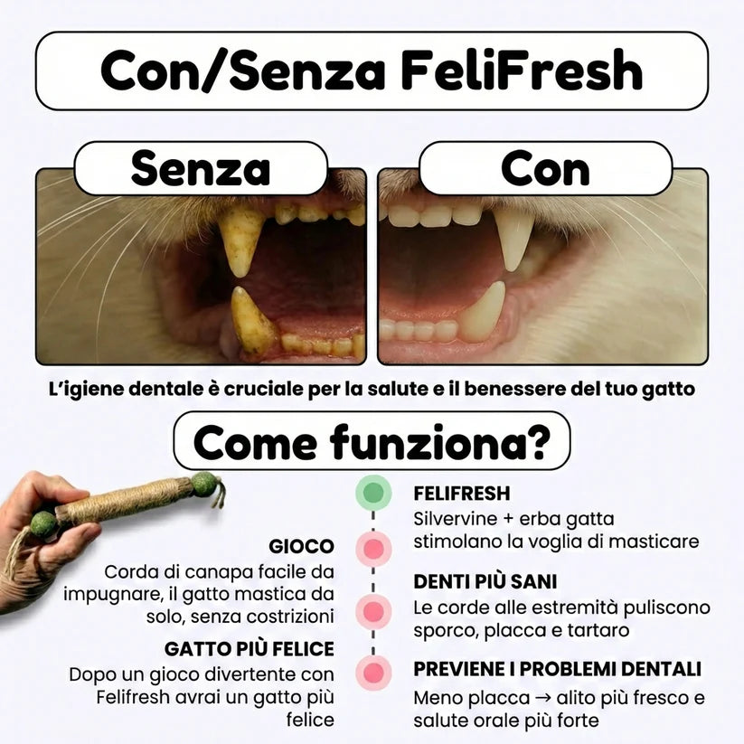 FeliFresh™ - Pulizia dentale facile e divertente