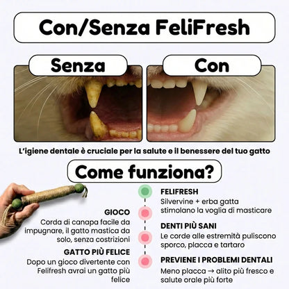 FeliFresh™ - Pulizia dentale facile e divertente
